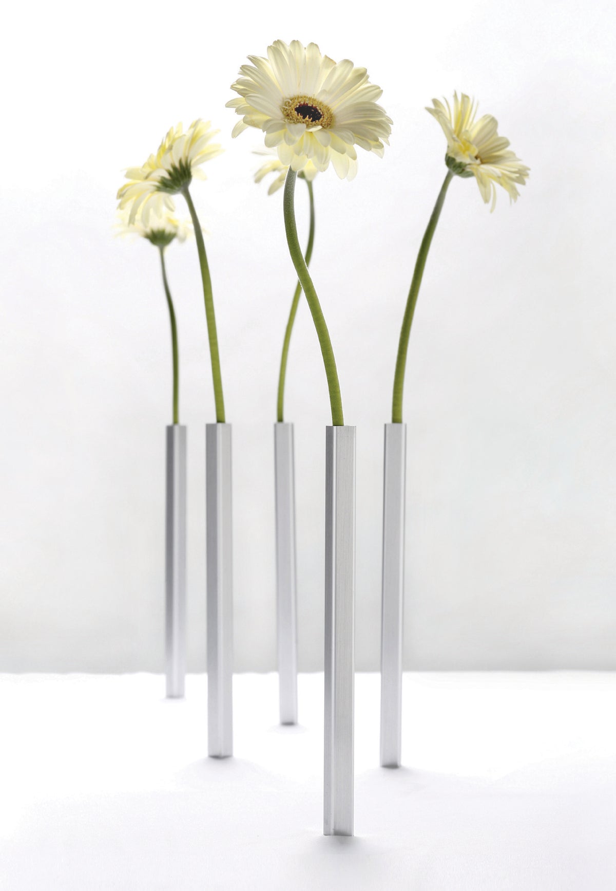 Peleg New Magnetic Vases, set van 5 vaasjes voor 1 bloem, in aluminiumkleur