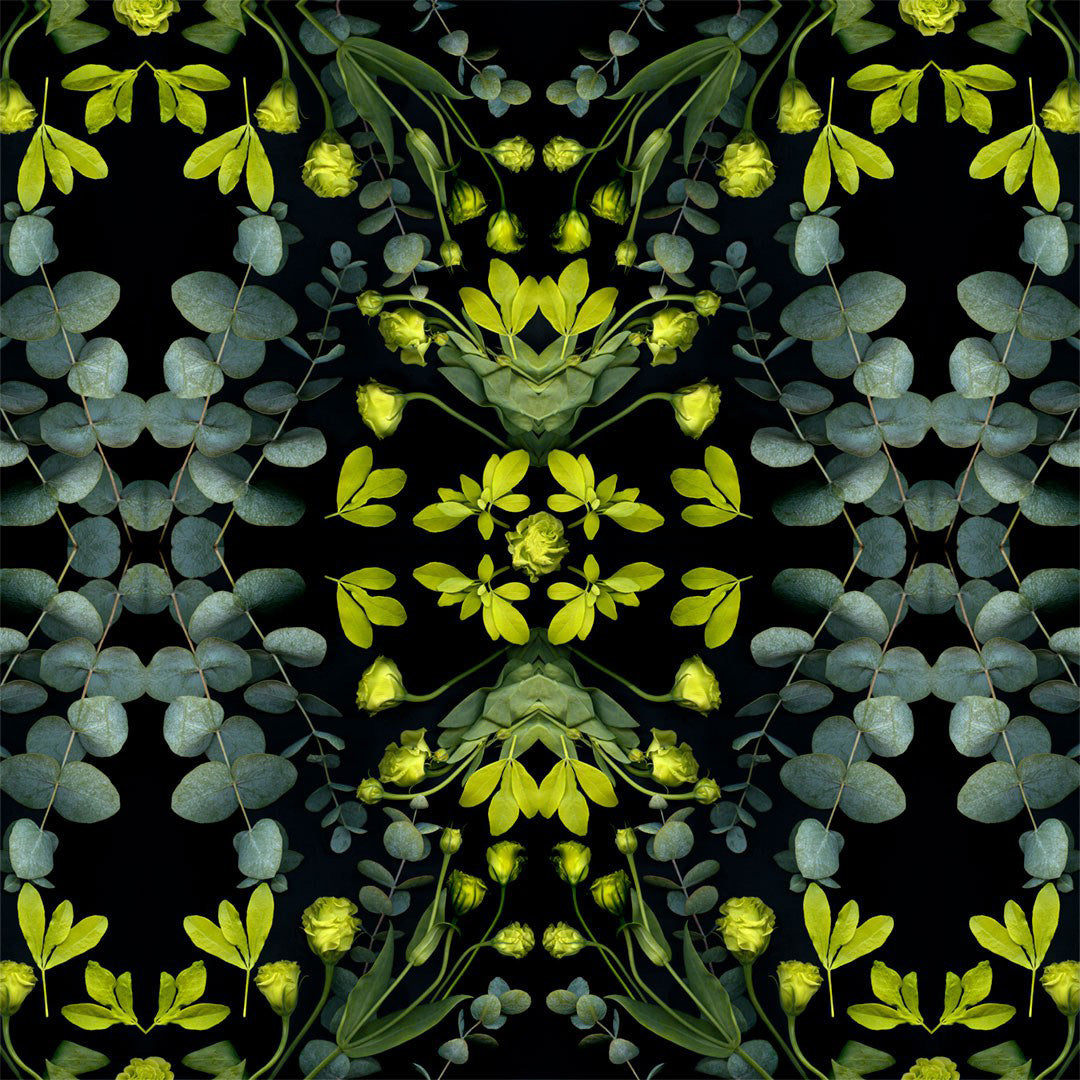 Alessi Ahhh refill, botanical packaging pattern detail
