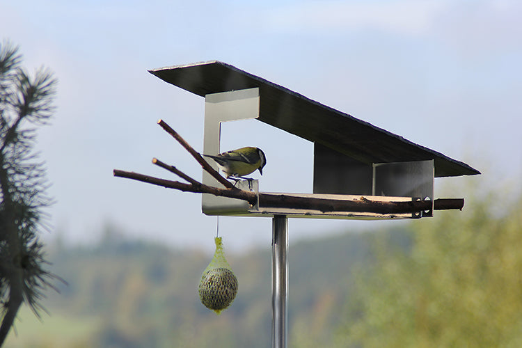 Zijaanzicht van mooie voederhuisje BirdFeeder VH-6, wit staal, vogel eet uit vetbol