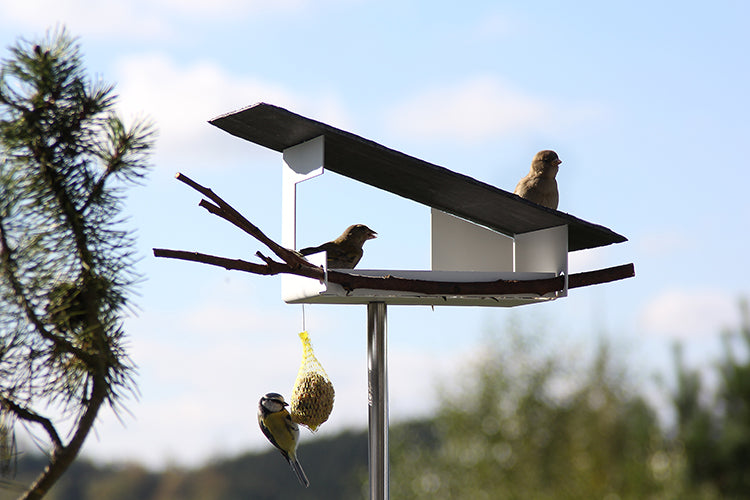 Vooraanzicht mooie voederhuisje BirdFeeder VH-6 in wit staal, twee vogels aanwezig