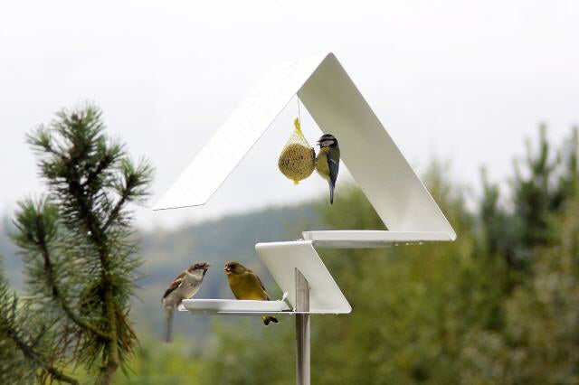 Vogelvoederhuis met hoge rand en vetbol, mezen en vinken eromheen