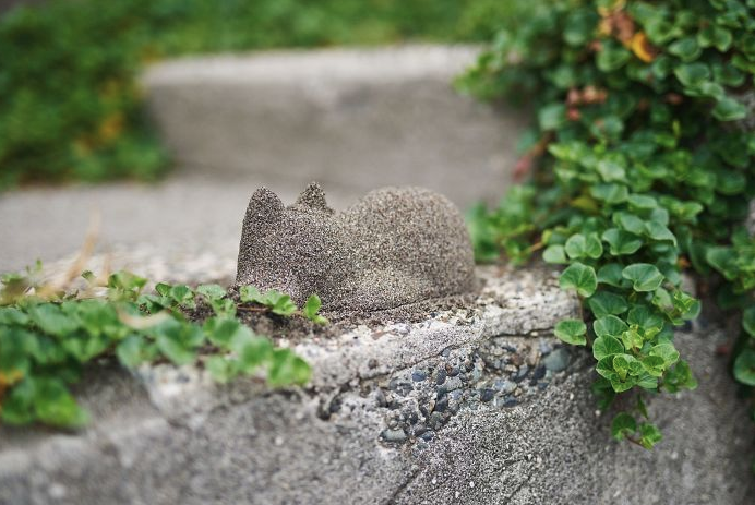 Neko zandvorm kat, afdruk van de kattenvorm in zand