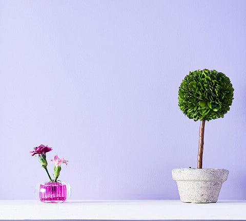 Michi-Kusa vase in pink glass beside small plant on white surface