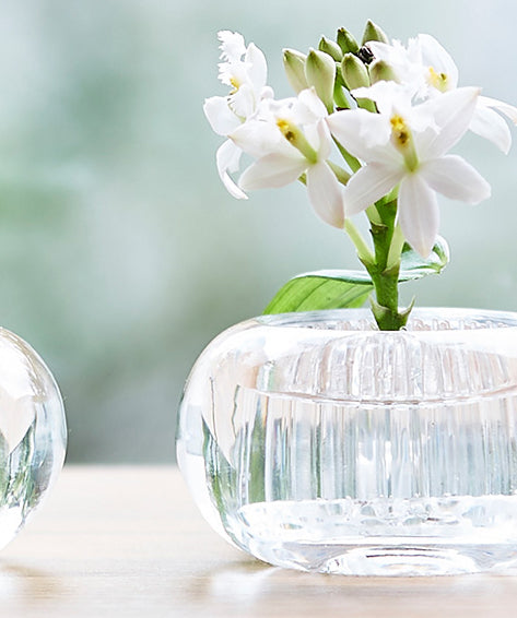 Small glass vase Michi-Kusa by +D, with removable part for flower stems