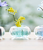 Michi-Kusa small glass vase, design Fumiaki Kono, with flowers next to other colour variants