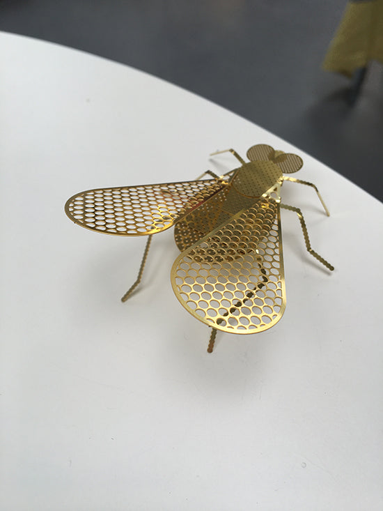 Fundamental Flatmate Housefly, kleine wanddecoratie in vliegvorm, ontworpen door Rönsch-Molloy