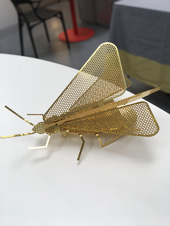 Fundamental Flatmate Moth, kleine wanddecoratie als mot, ontwerp Rönsch-Molloy