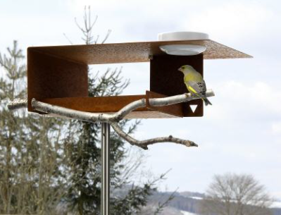 Vogelvoederhuisje van staal met porseleinen schotel, zijaanzicht met vogel op tak