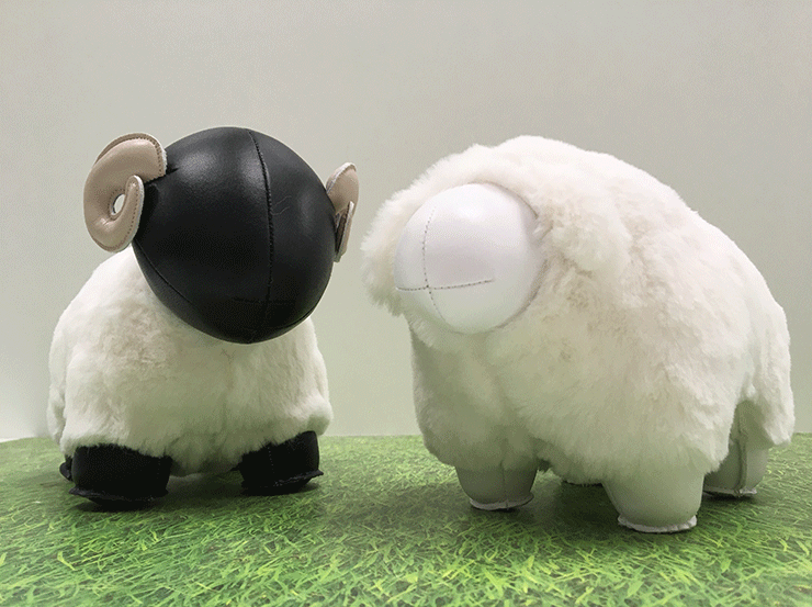 Achteraanzicht van twee schapenbeeldjes in zwart en wit, Zuny mooie dieren