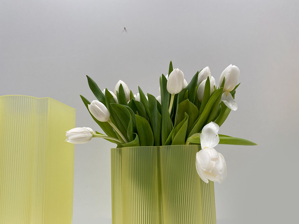 Twee vazen Okra Laag van Kartell in geel, gevuld met witte tulpen