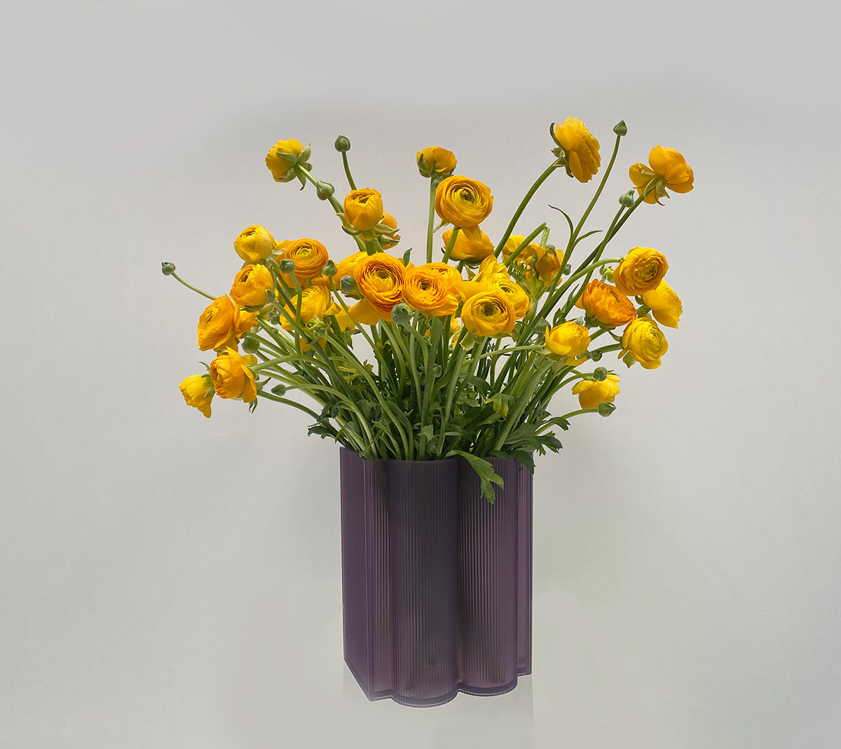 Kartell Okra Violet Hoog vaas gevuld met ranonkels