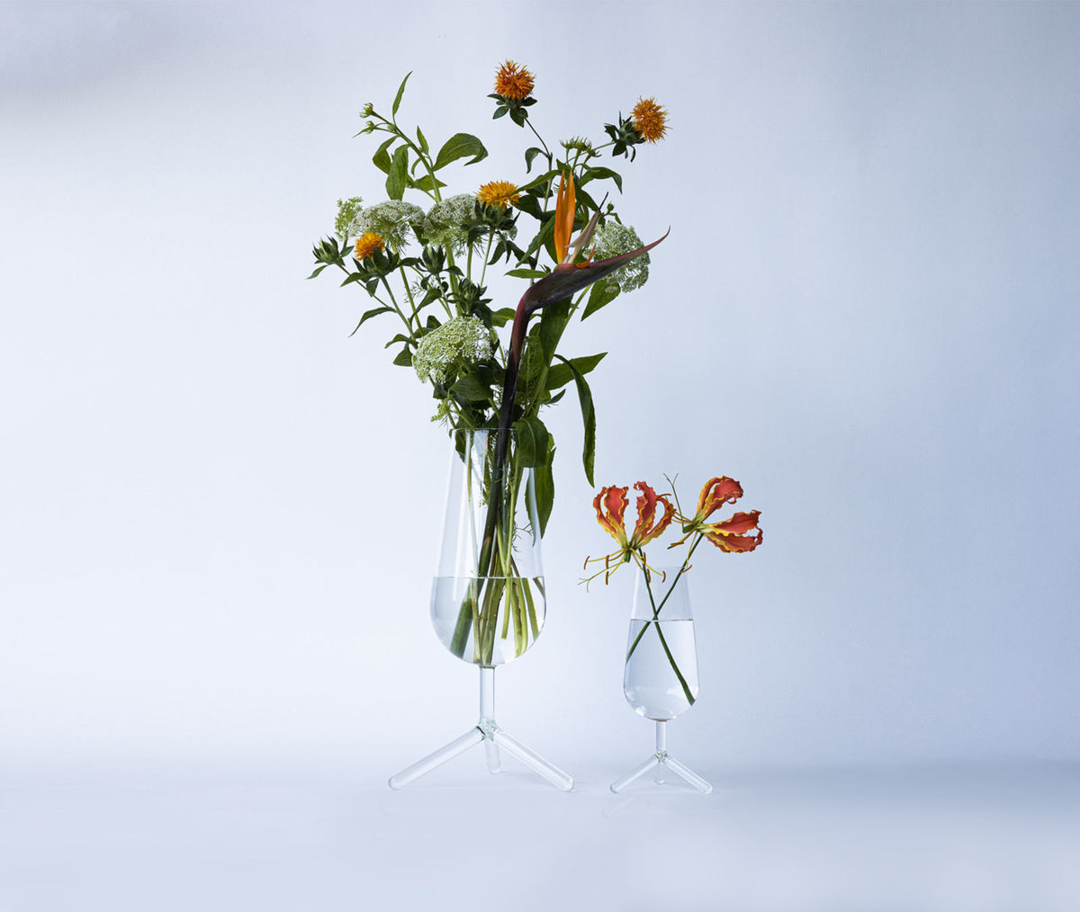 Grote en kleine vaas van helder glas naast elkaar, gevuld met bloemen