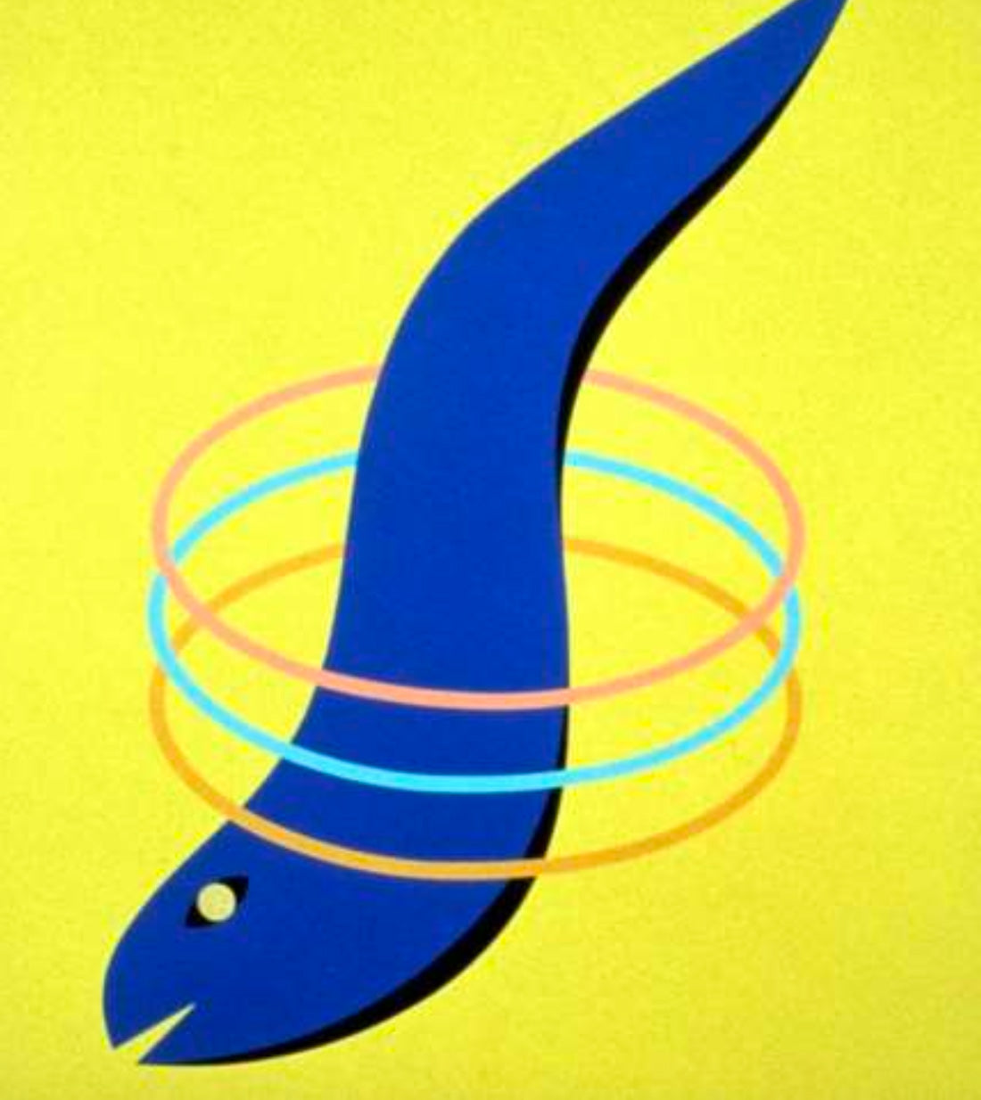 Schilderij van Mendini 'Da dove venire dove andare', inspiratie voor de vis-houder van Chopsticks Anna