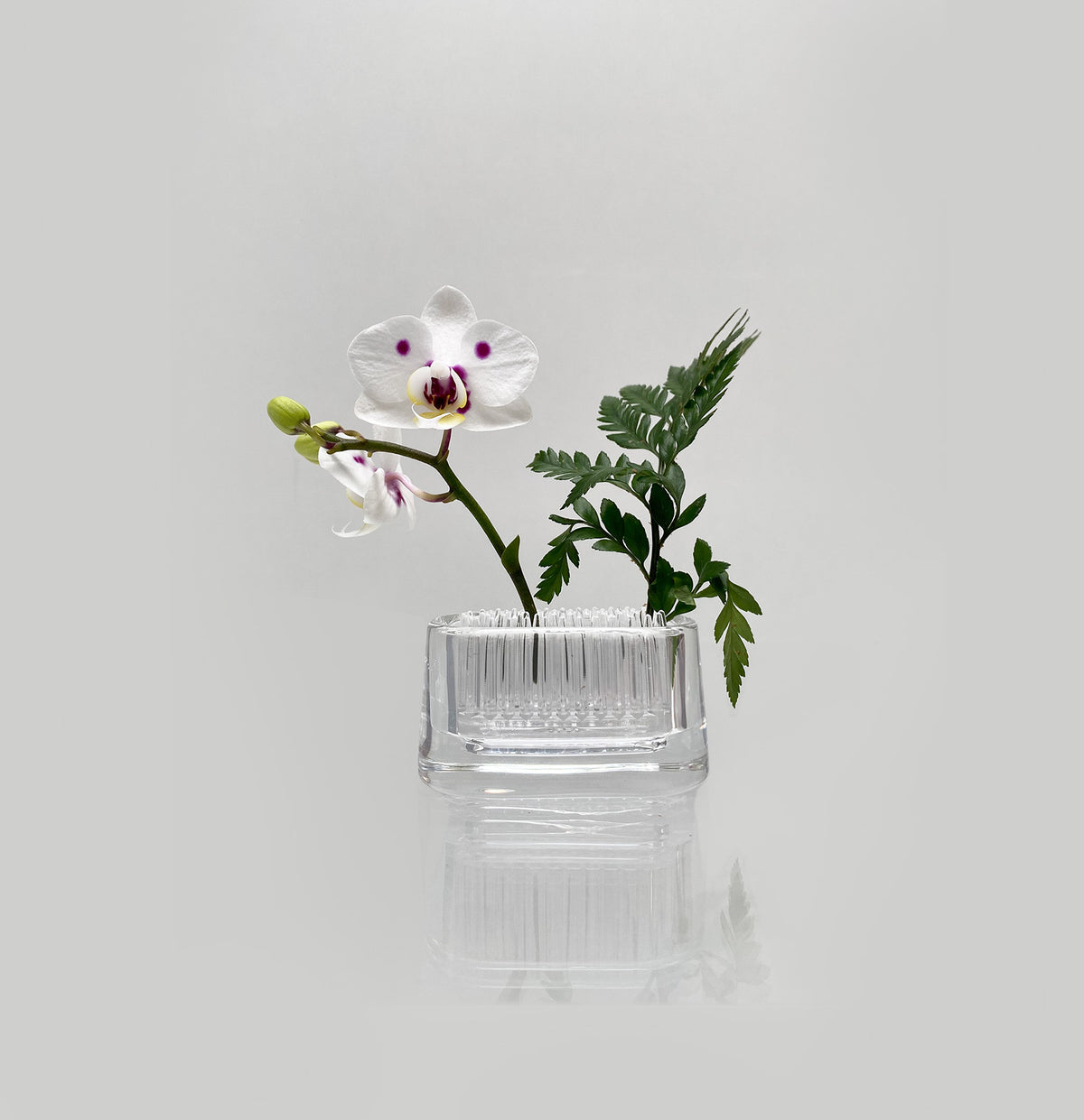 Michi-Kusa Oval Clear, small oval glass vase by +D, design Fumiaki Kono