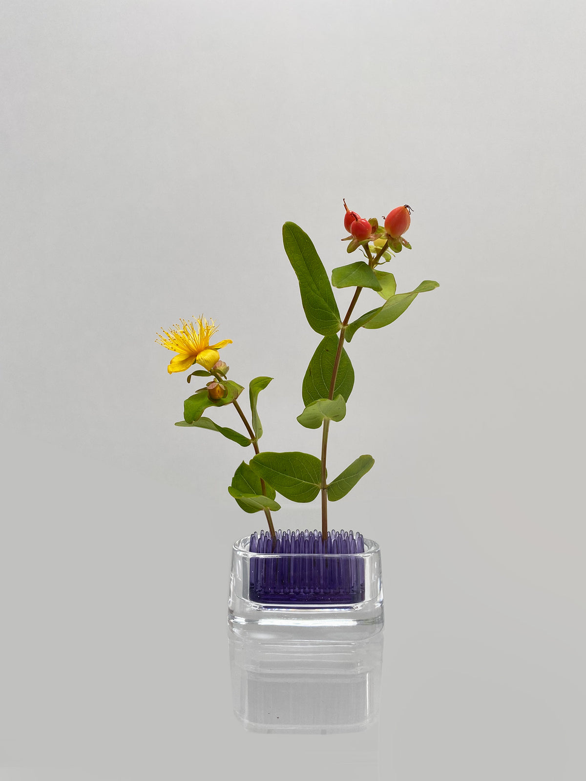 +d Michi-Kusa small glass oval vase in purple by Fumiaki Kono, with flower branches placed in it