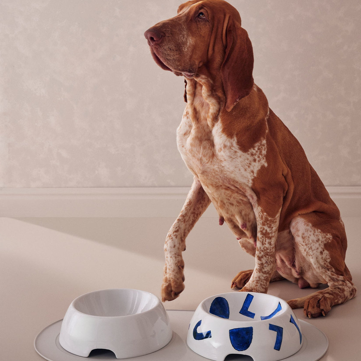 Alessi Itsumo Anti Slipmat Grote Hond NF16L G op tafel