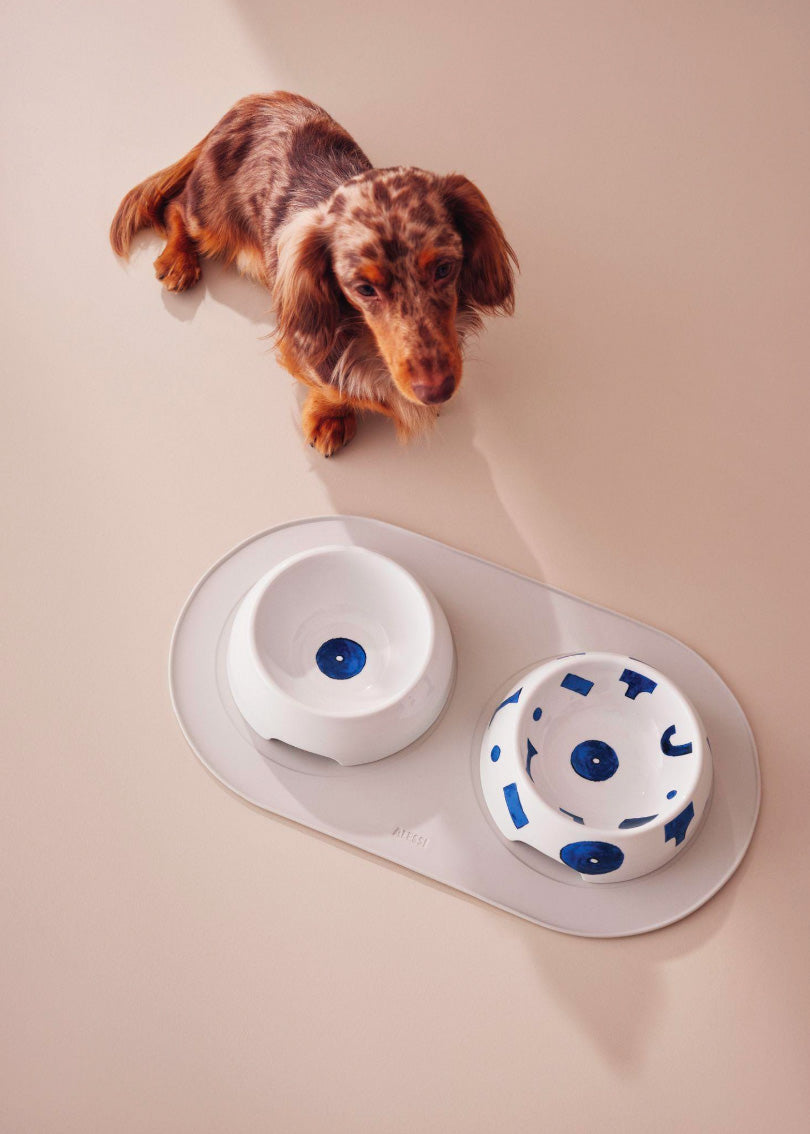 Itsumo honden water-bak klein naast bijpassend voerbakje op een mat, met hond.