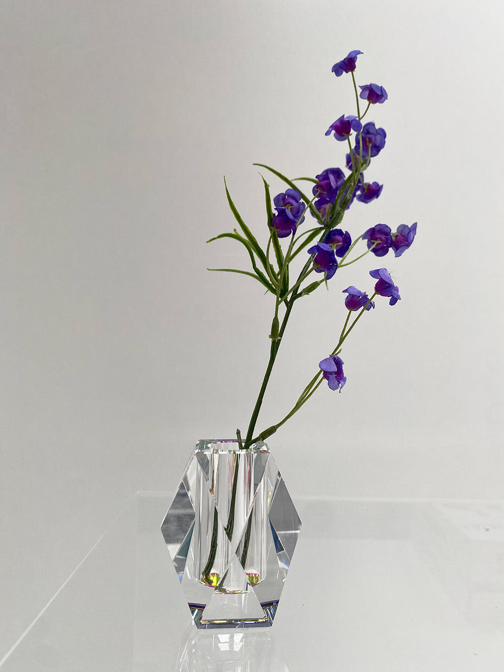 Alessi Rainbow kleine vaas van geslepen kristalglas, ontwerp Rönsch-Molloy, met bloemtak