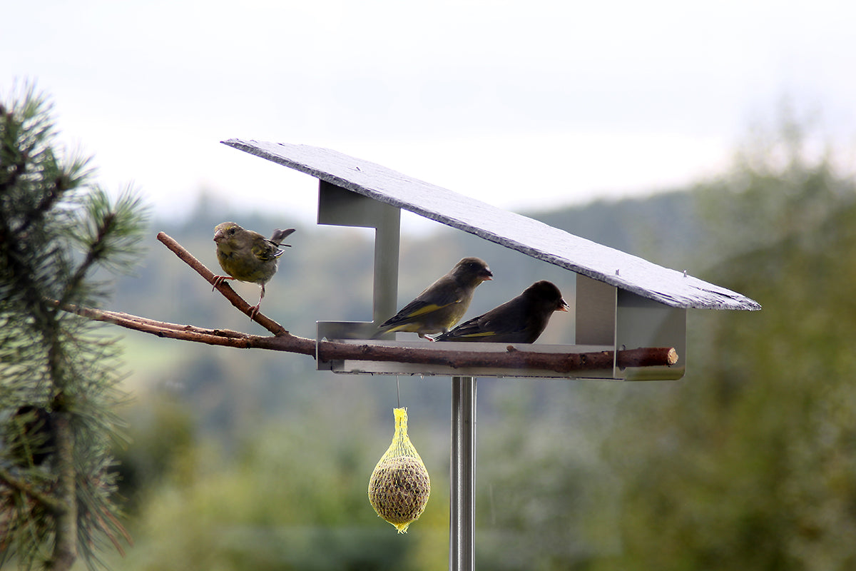 Design & Vogels