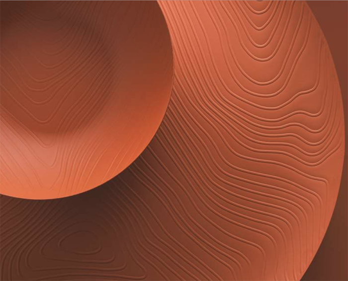 Veneer