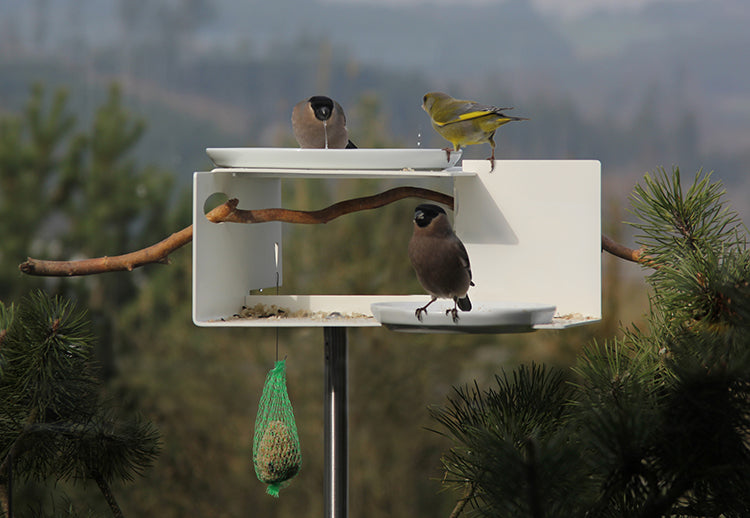 Opossum BirdBath VT-1 vogelvoederstation, wit gepoedercoat staal, ontwerp Richard Sinnig