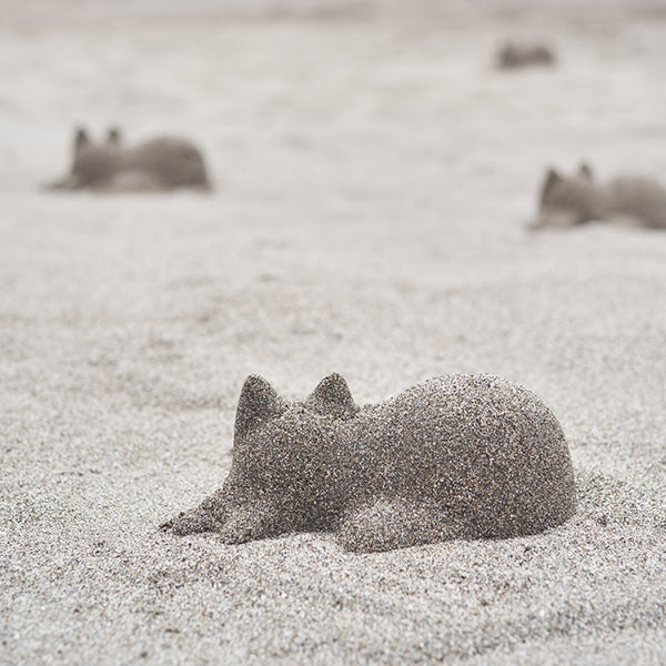 Neko zandvorm kat, gebruikt om figuurtjes van zand te vormen op het strand