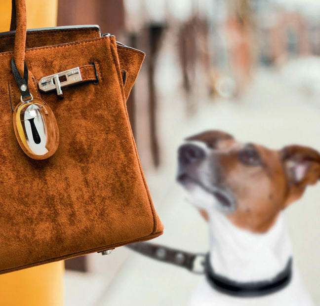 Alessi Acino dispenser voor pet-afvalzakjes in rvs van Miriam Mirri, hangend aan een tas