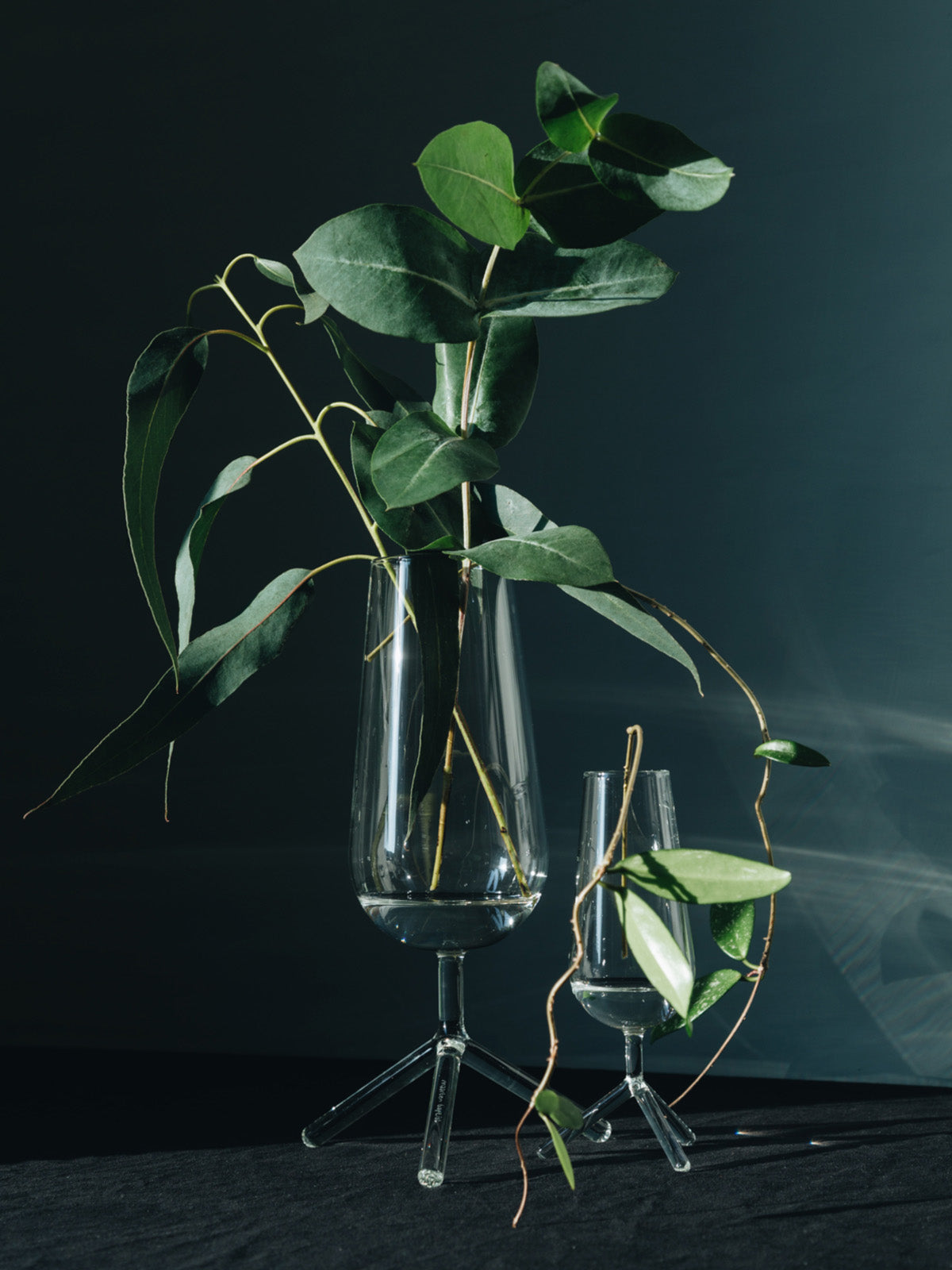Hoge vaas van helder glas met groene bladtakken, naast kleinere vaas