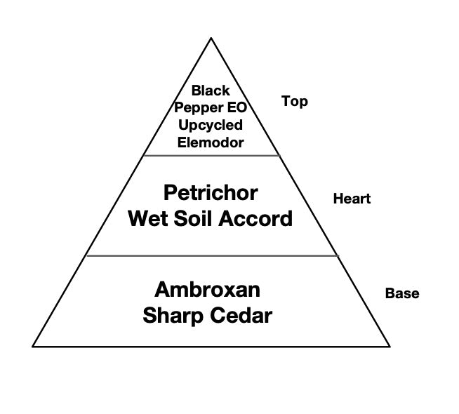 Geurpiramide van Clay met zwarte peper als top, petrichor als hart en cederhout als basis