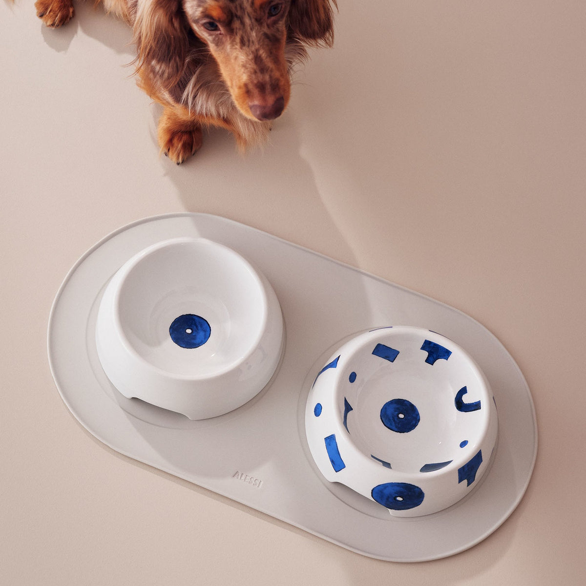 Alessi Itsumo Anti Slipmat Grote Hond NF16L G op tafel