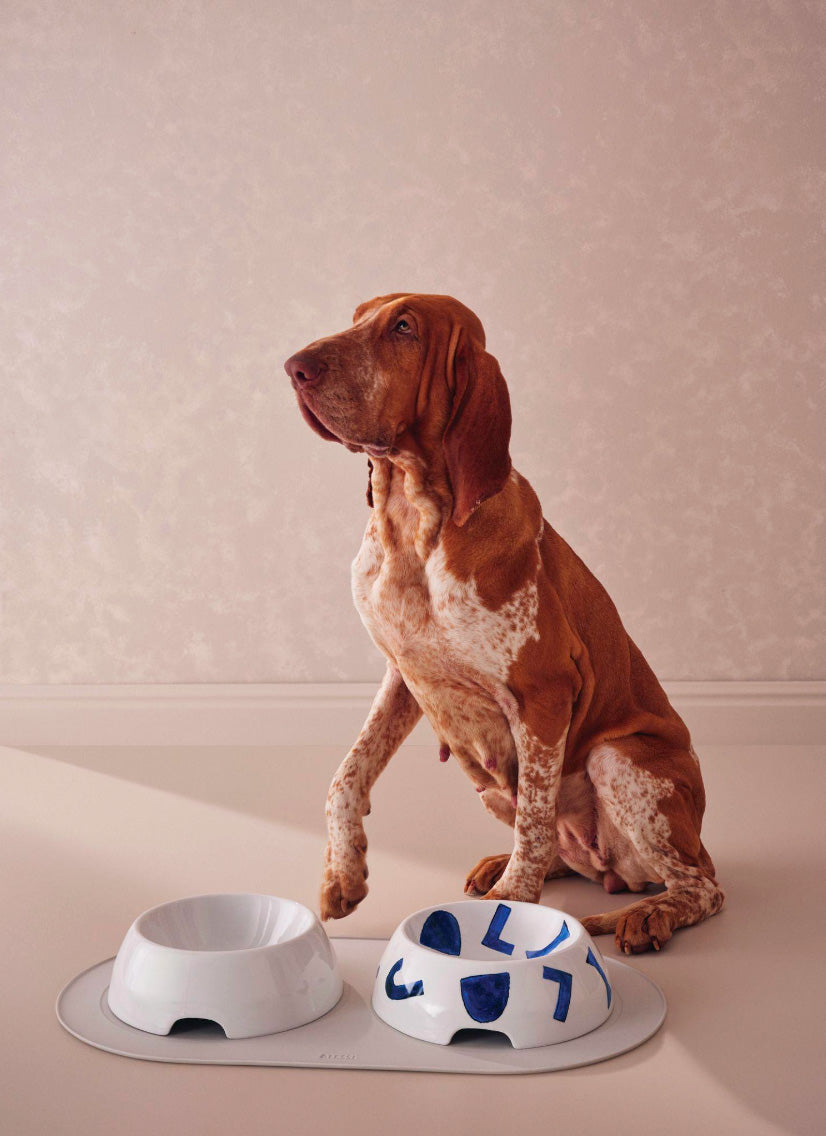 Siliconen slipmat van de Itsumo-serie onder twee voerbakjes, met hond