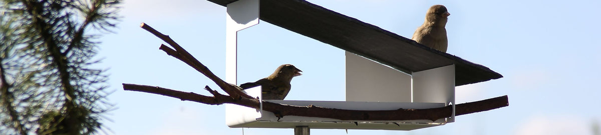 Header mooie-voeder-huisjes