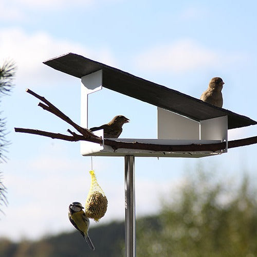 Vogelvoederhuis van Opossum Design met vogels